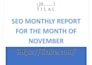 provide complete monthly SEO service for google top ranking